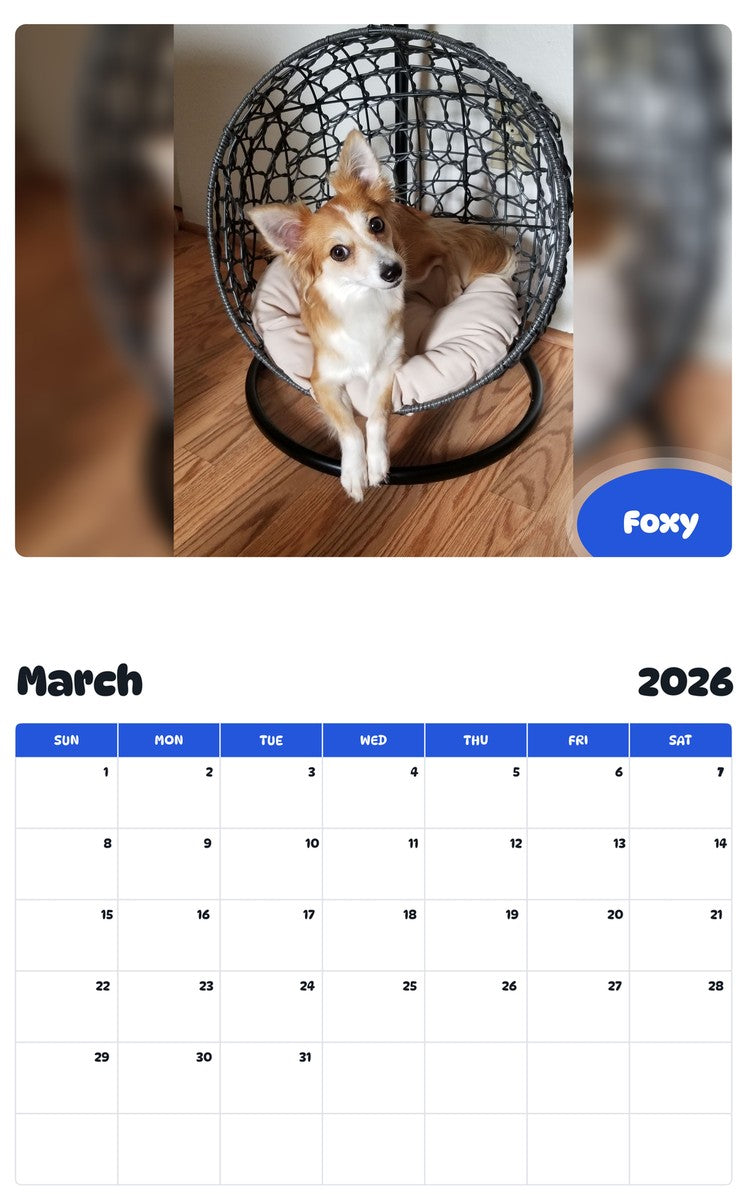 November 2025 - October 2026 Foxy - Pawidols Pet Calendar