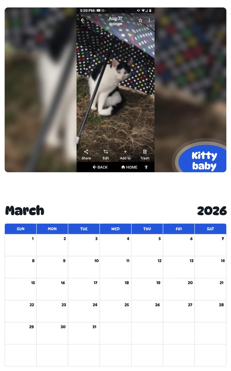 November 2025 - October 2026 Kitty baby - Pawidols Pet Calendar