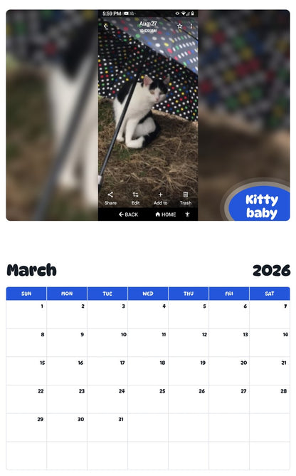 November 2025 - October 2026 Kitty baby - Pawidols Pet Calendar