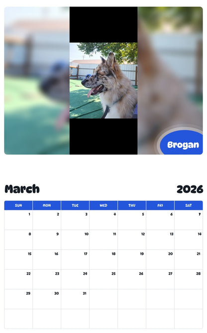 November 2025 - October 2026 Brogan - Pawidols Pet Calendar
