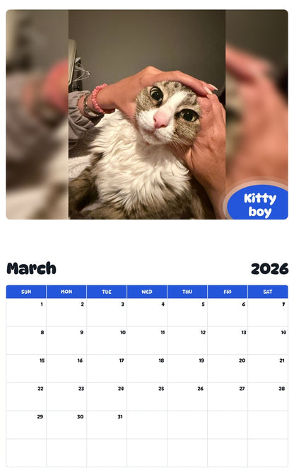 November 2025 - October 2026 Kitty boy - Pawidols Pet Calendar