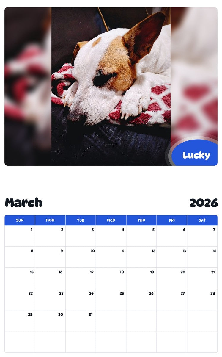 November 2025 - October 2026 Lucky - Pawidols Pet Calendar