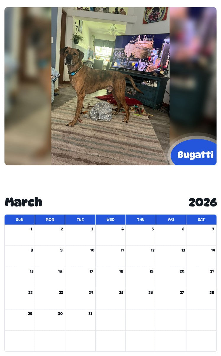 November 2025 - October 2026 Bugatti - Pawidols Pet Calendar