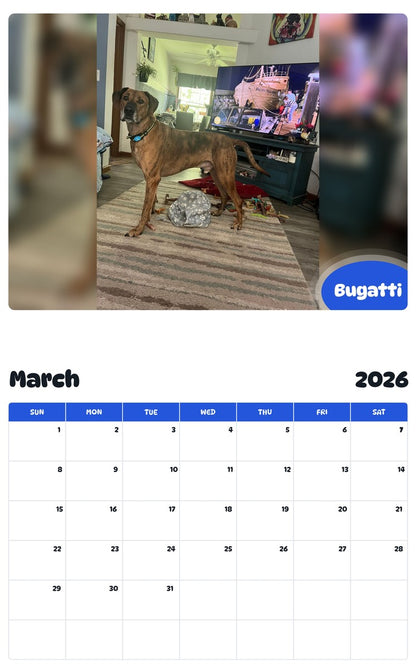 November 2025 - October 2026 Bugatti - Pawidols Pet Calendar