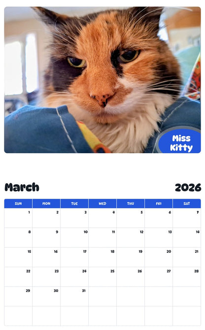 November 2025 - October 2026 Miss Kitty - Pawidols Pet Calendar