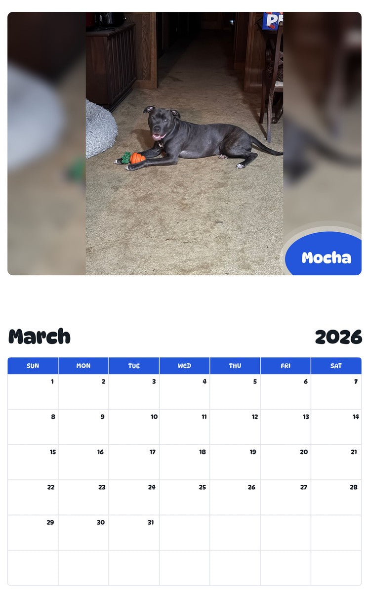 November 2025 - October 2026 Mocha - Pawidols Pet Calendar
