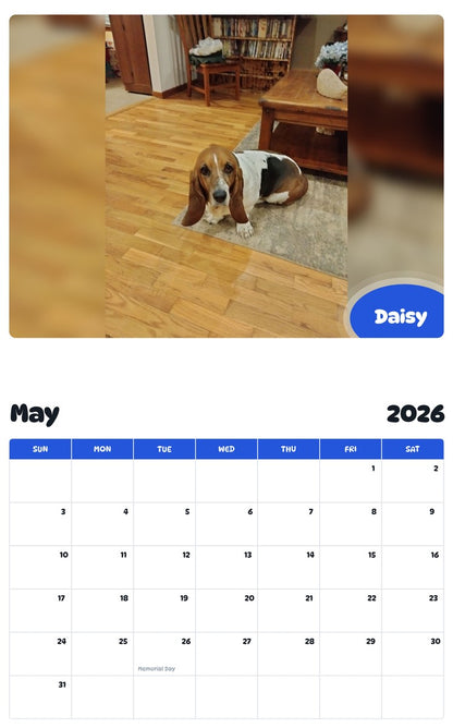 2026 - 2027 Daisy - Pawidols Pet Calendar