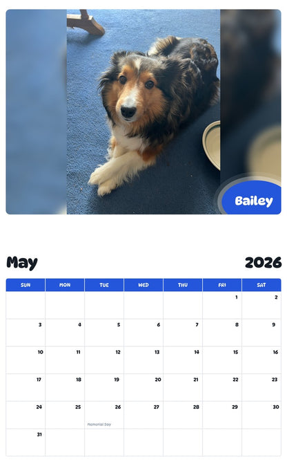 2026 - 2027 Bailey - Pawidols Pet Calendar