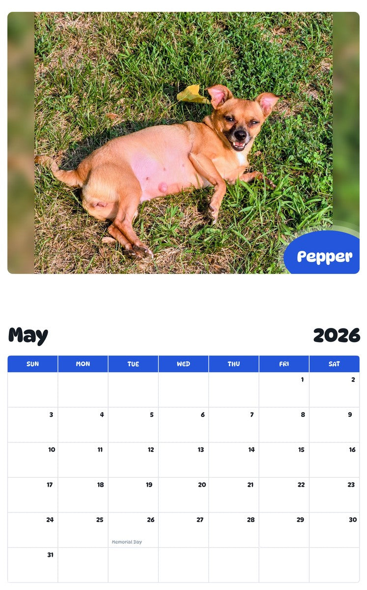 2026 - 2027 Pepper - Pawidols Pet Calendar