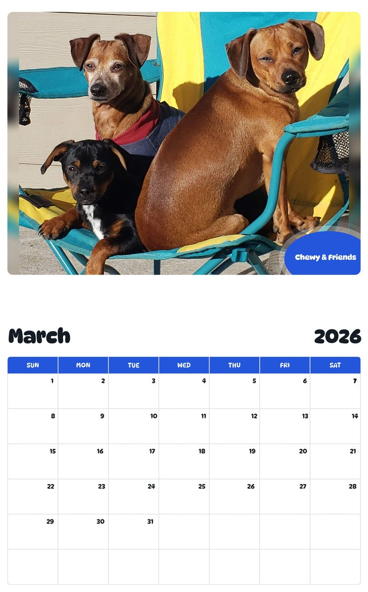 November 2025 - October 2026 Chewy & Friends - Pawidols Pet Calendar
