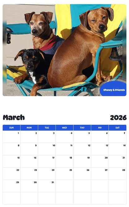 November 2025 - October 2026 Chewy & Friends - Pawidols Pet Calendar