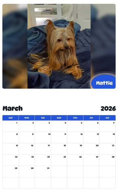 November 2025 - October 2026 Mattie - Pawidols Pet Calendar