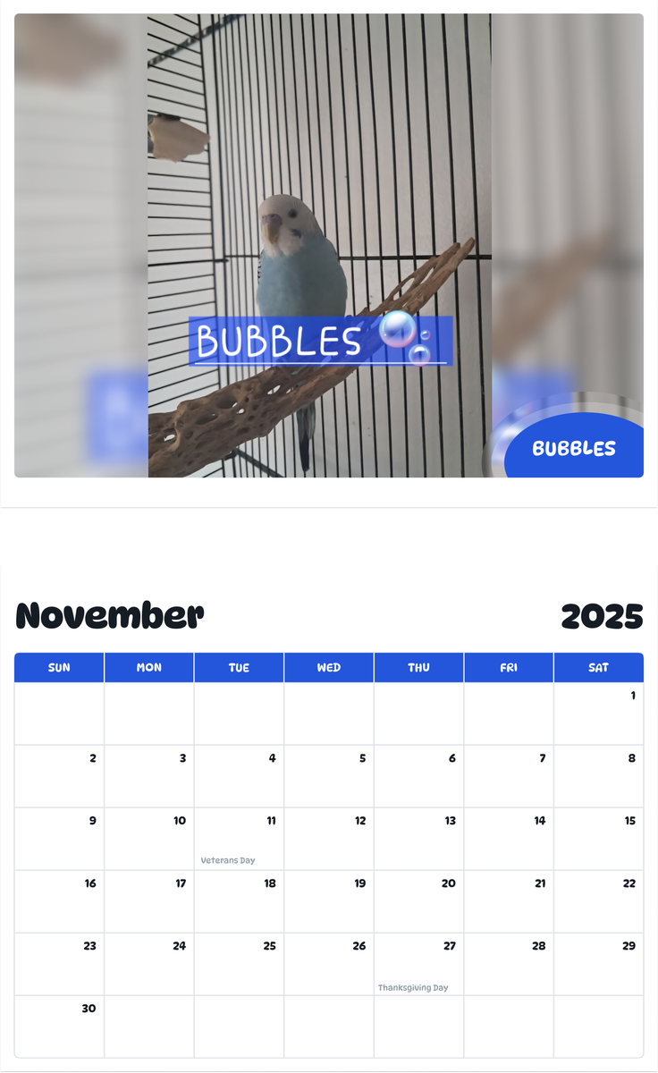 July 2025 - June 2026 Bubbles - Pawidols Pet Calendar