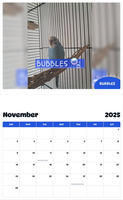 July 2025 - June 2026 Bubbles - Pawidols Pet Calendar