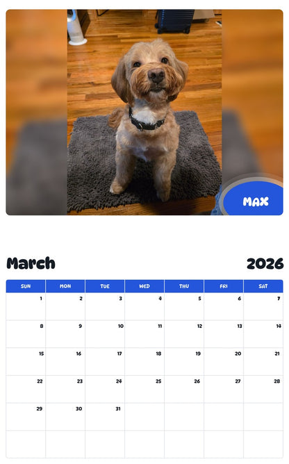 November 2025 - October 2026 MAX - Pawidols Pet Calendar