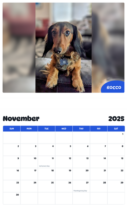 July 2025 - June 2026 Rocco - Pawidols Pet Calendar