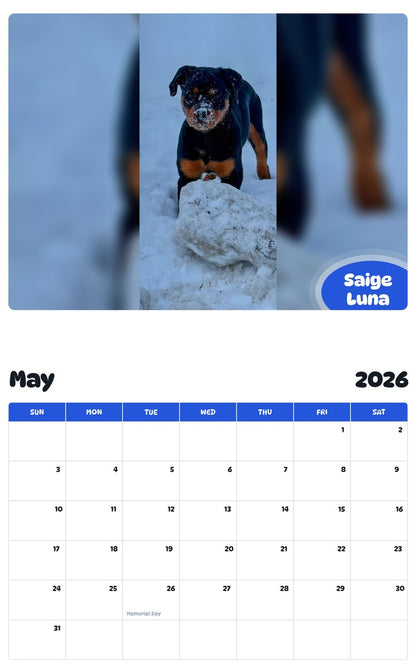 2026 - 2027 Saige Luna - Pawidols Pet Calendar