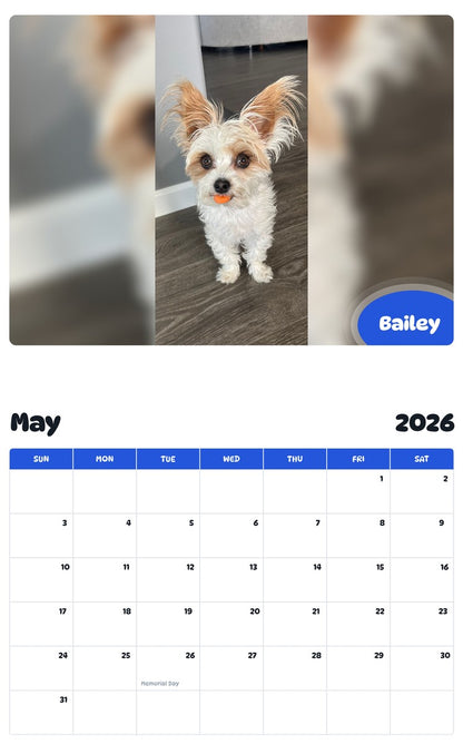 2026 - 2027 Bailey - Pawidols Pet Calendar