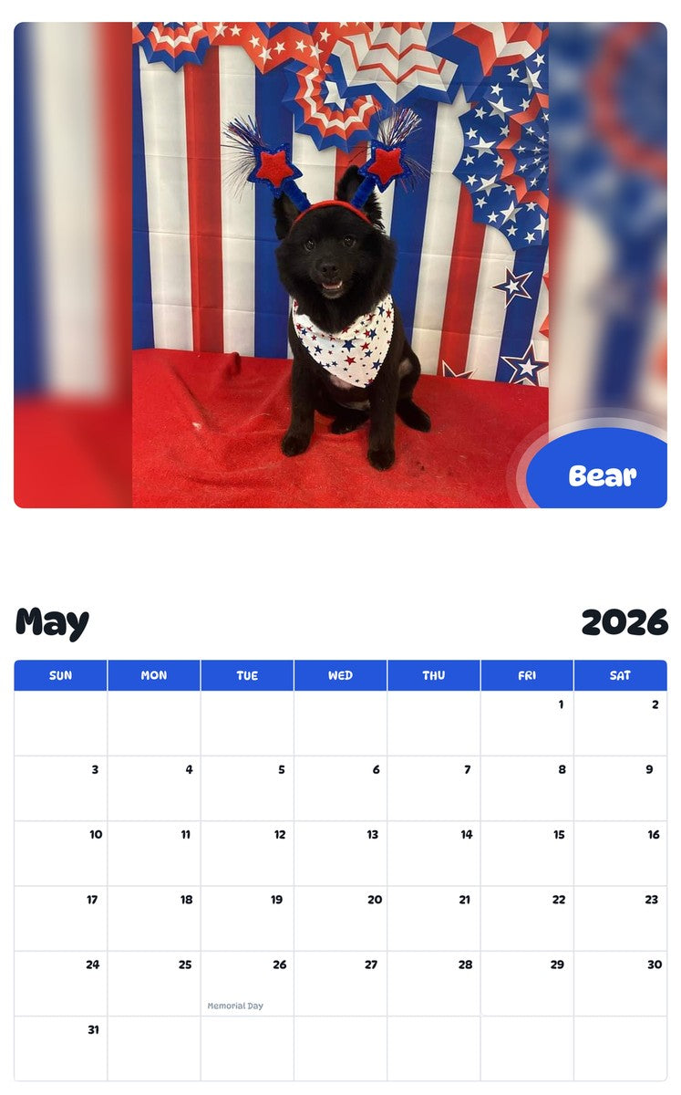 2026 - 2027 Bear - Pawidols Pet Calendar