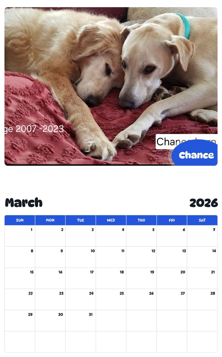 November 2025 - October 2026 Chance - Pawidols Pet Calendar