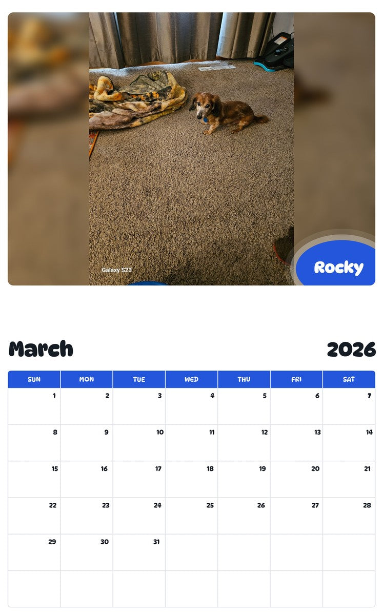 November 2025 - October 2026 Rocky - Pawidols Pet Calendar