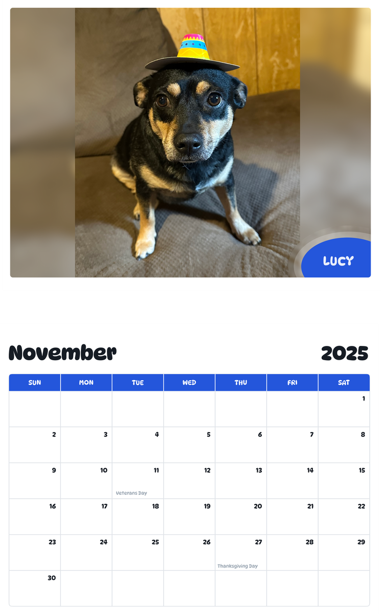 July 2025 - June 2026 Lucy - Pawidols Pet Calendar