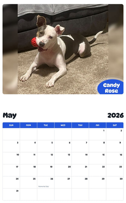 2026 - 2027 Candy Rose - Pawidols Pet Calendar