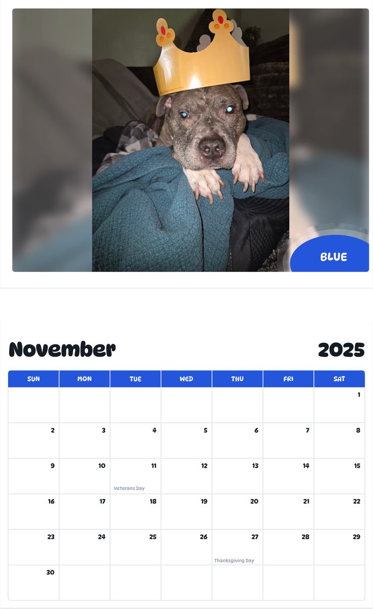 July 2025 - June 2026 Blue - Pawidols Pet Calendar