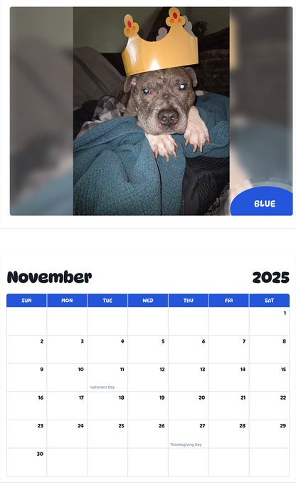 July 2025 - June 2026 Blue - Pawidols Pet Calendar