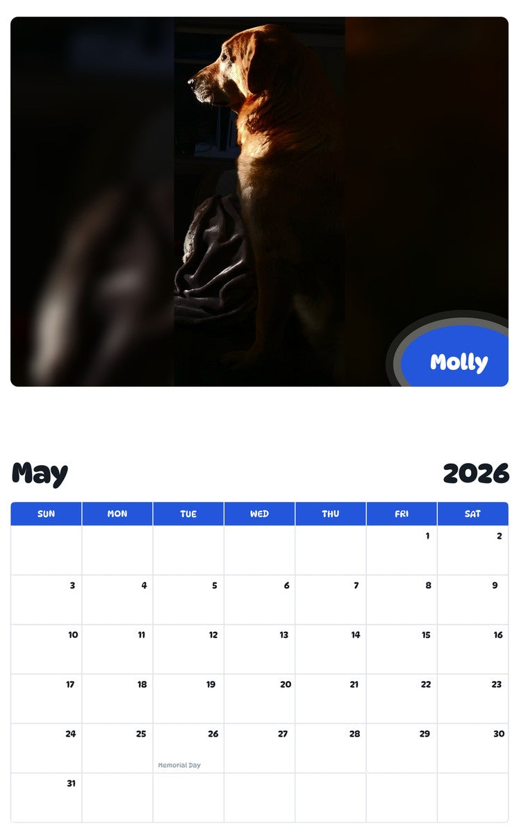 2026 - 2027 Molly - Pawidols Pet Calendar