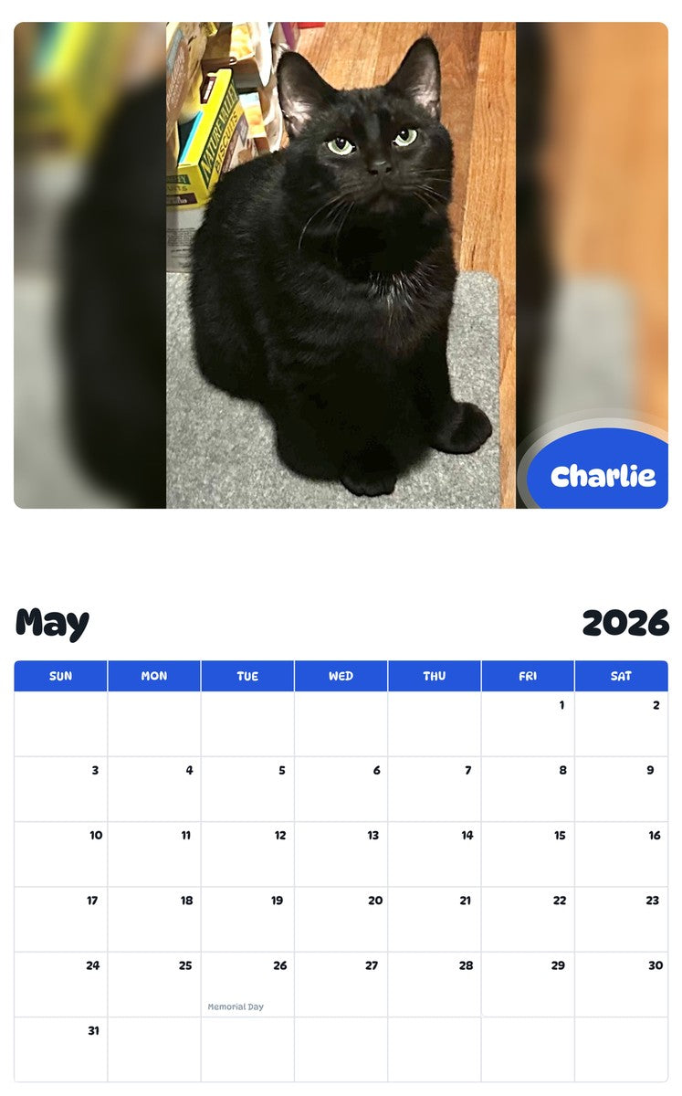 2026 - 2027 Charlie - Pawidols Pet Calendar