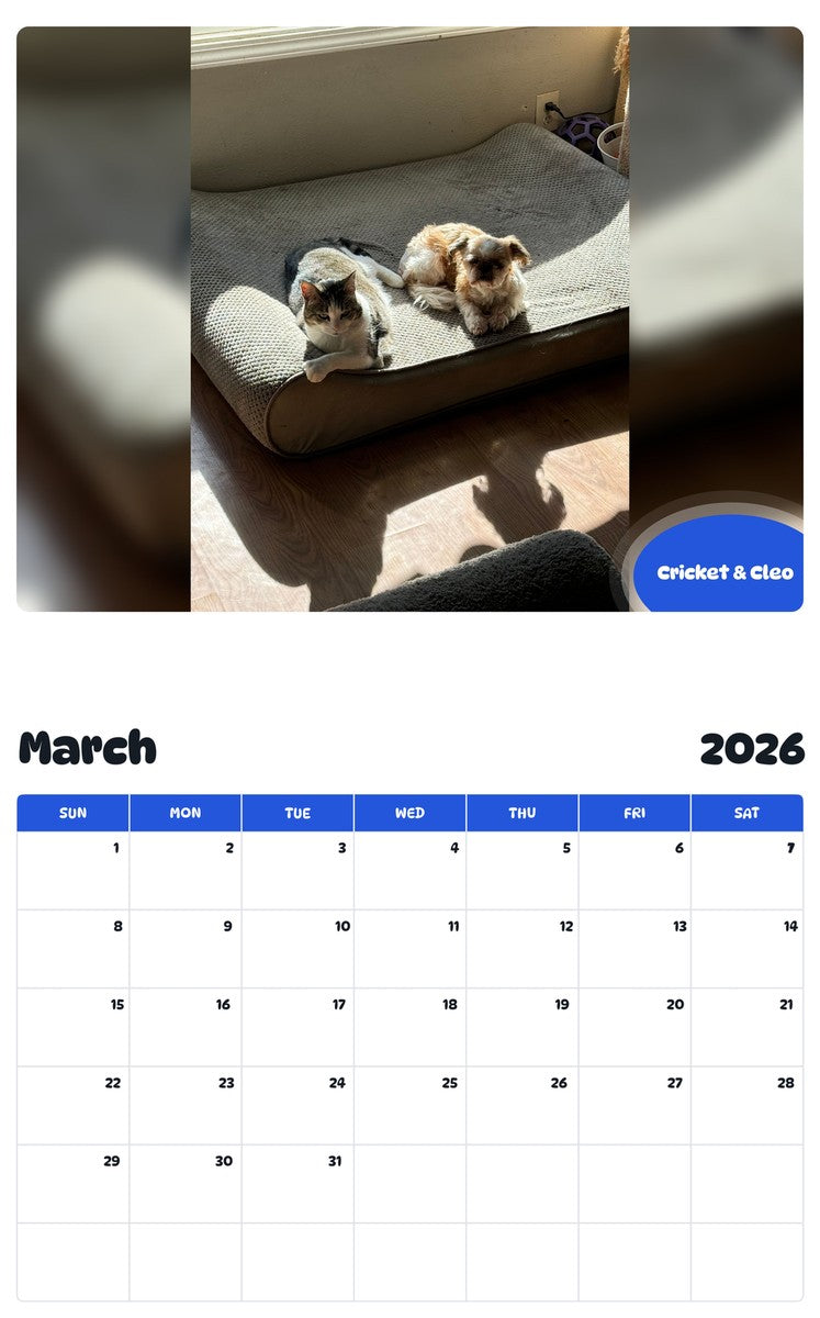 November 2025 - October 2026 Cricket & Cleo - Pawidols Pet Calendar
