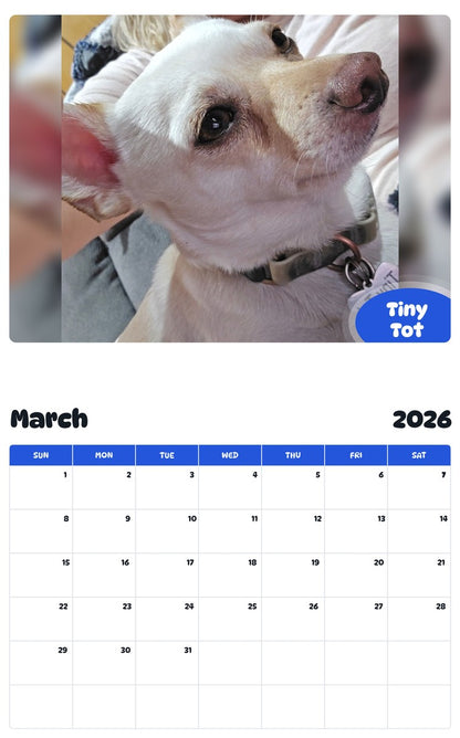 November 2025 - October 2026 Tiny Tot - Pawidols Pet Calendar