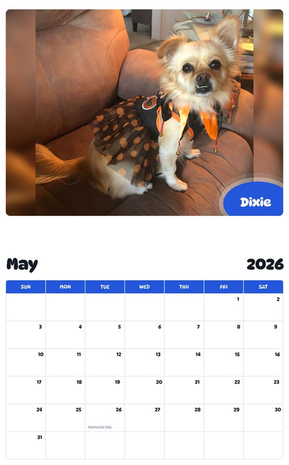 2026 - 2027 Dixie - Pawidols Pet Calendar