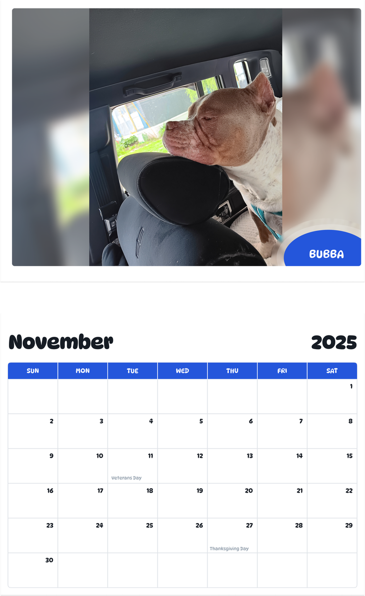 July 2025 - June 2026 Bubba - Pawidols Pet Calendar