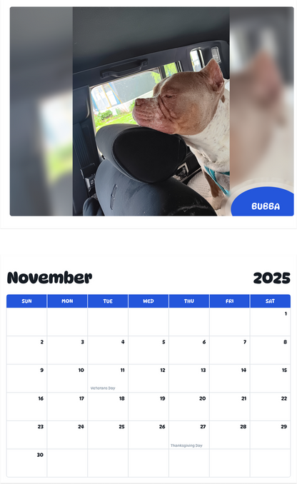 July 2025 - June 2026 Bubba - Pawidols Pet Calendar