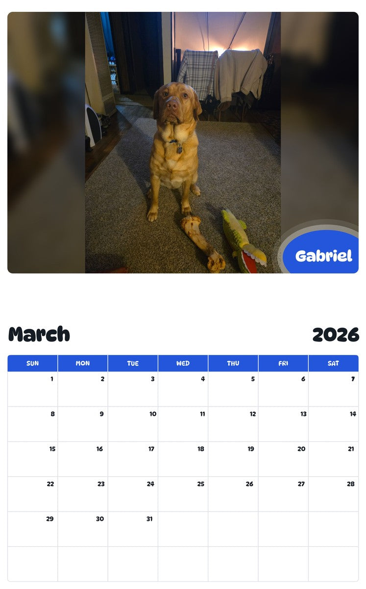 November 2025 - October 2026 Gabriel - Pawidols Pet Calendar