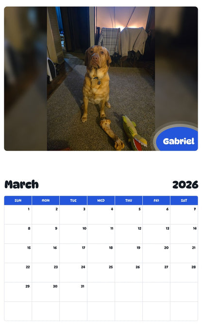 November 2025 - October 2026 Gabriel - Pawidols Pet Calendar