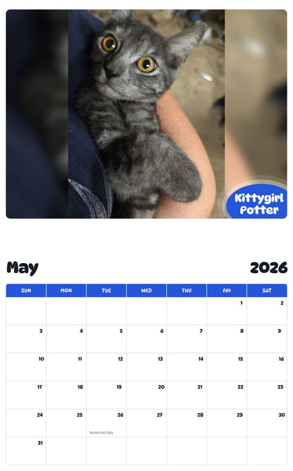 2026 - 2027 Kittygirl Potter - Pawidols Pet Calendar
