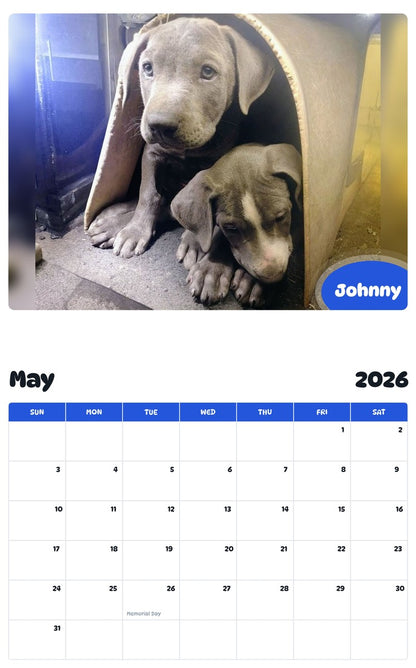 2026 - 2027 Johnny - Pawidols Pet Calendar