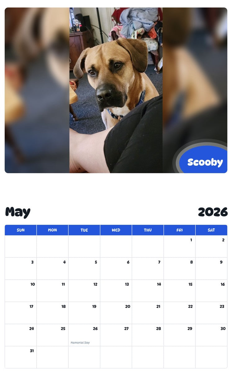 2026 - 2027 Scooby - Pawidols Pet Calendar