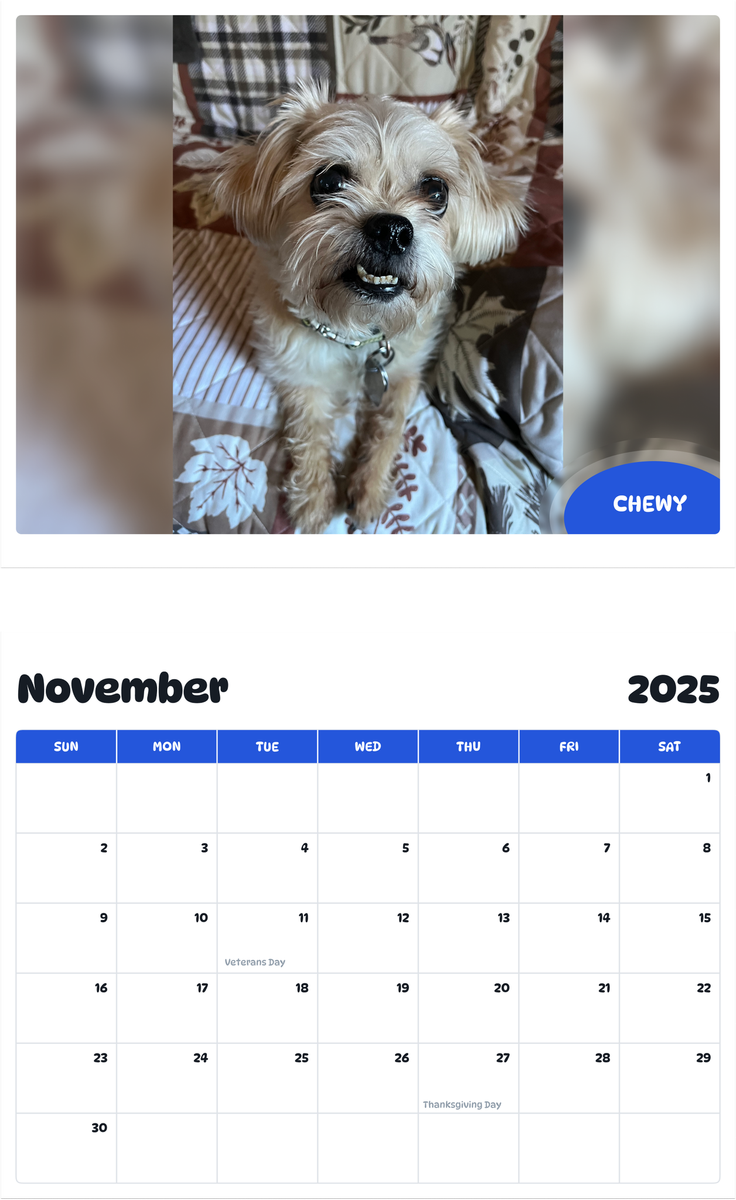 July 2025 - June 2026 Chewy - Pawidols Pet Calendar