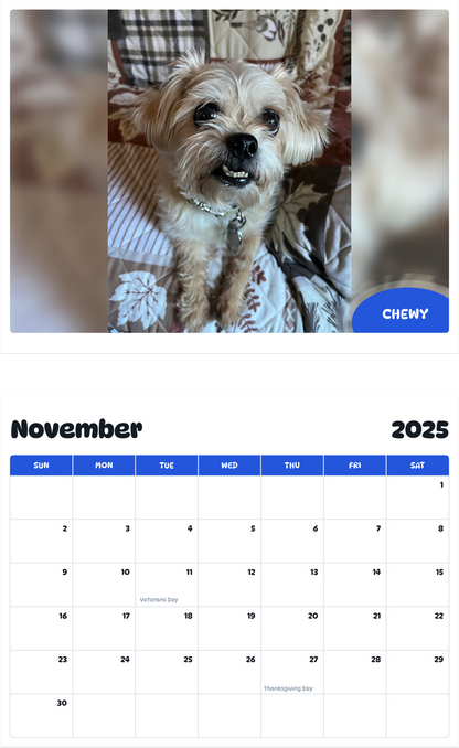 July 2025 - June 2026 Chewy - Pawidols Pet Calendar
