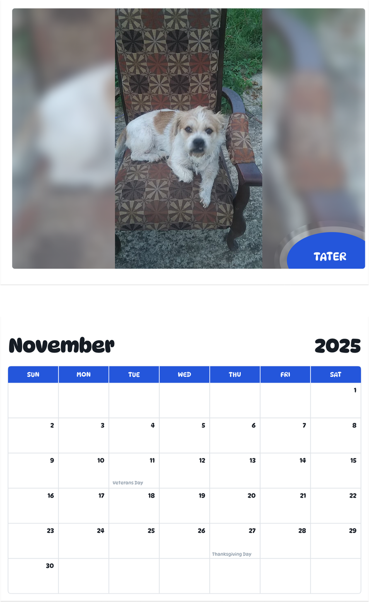 July 2025 - June 2026 Tater - Pawidols Pet Calendar