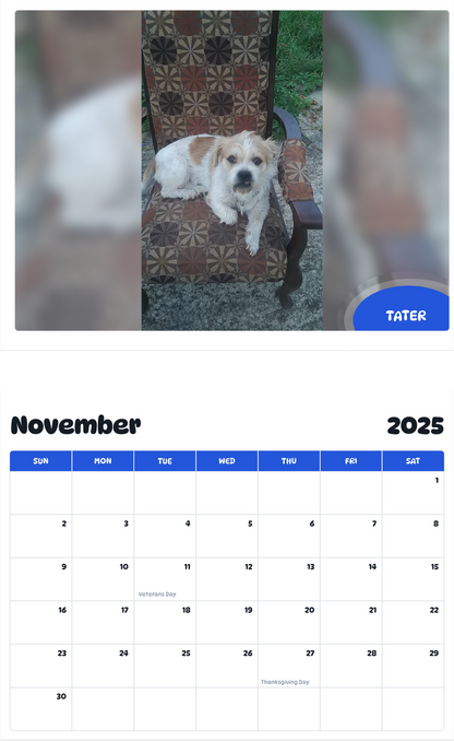 July 2025 - June 2026 Tater - Pawidols Pet Calendar