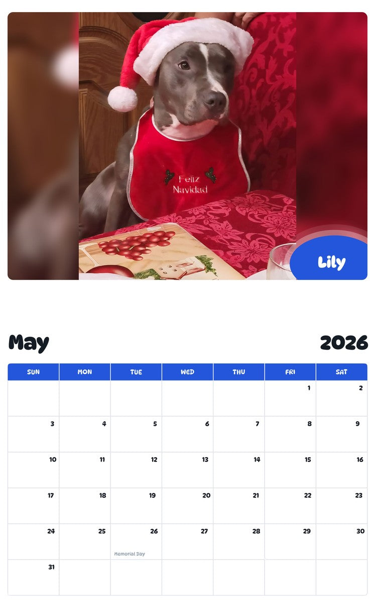 2026 - 2027 Lily - Pawidols Pet Calendar