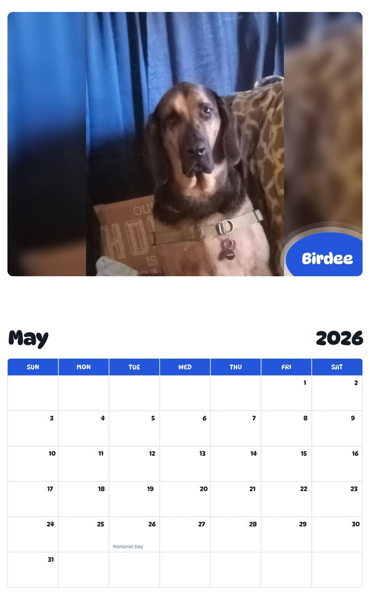2026 - 2027 Birdee - Pawidols Pet Calendar