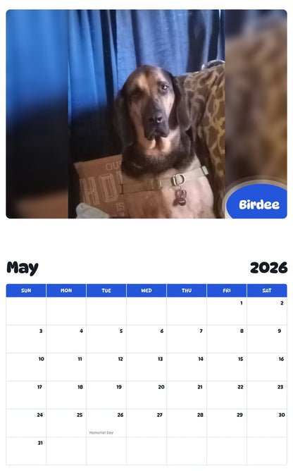 2026 - 2027 Birdee - Pawidols Pet Calendar