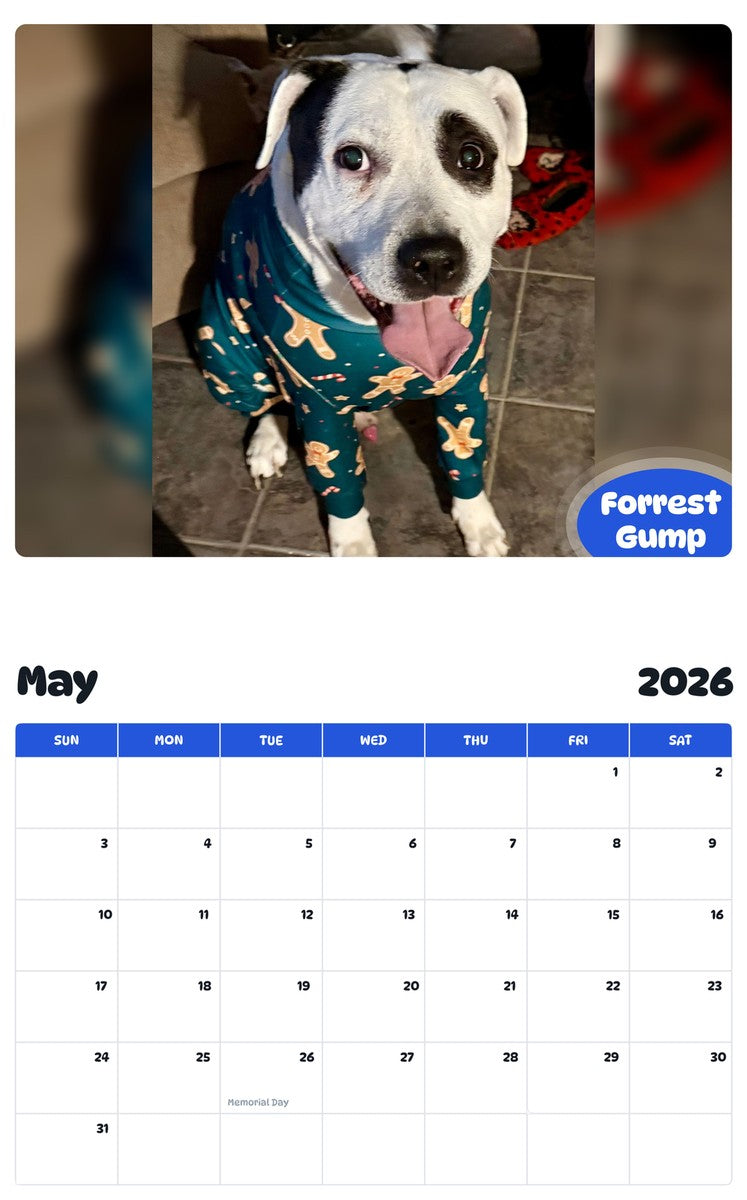 2026 - 2027 Forrest Gump - Pawidols Pet Calendar