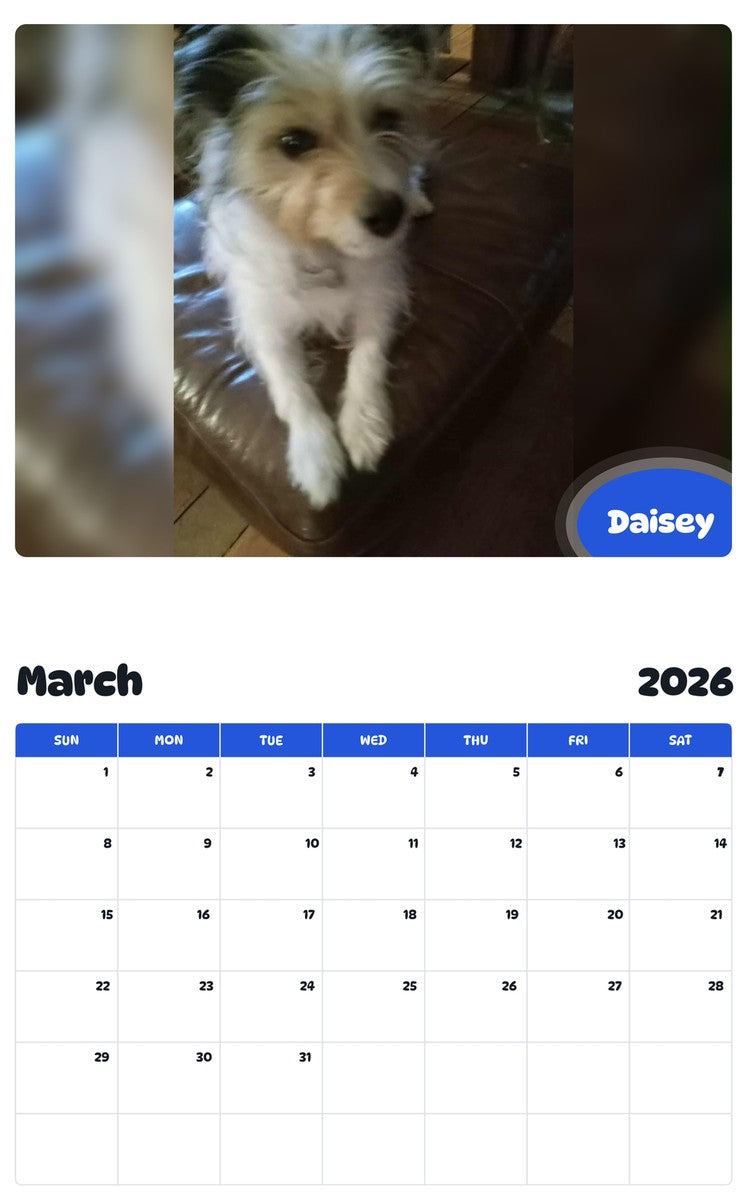 November 2025 - October 2026 Daisey - Pawidols Pet Calendar